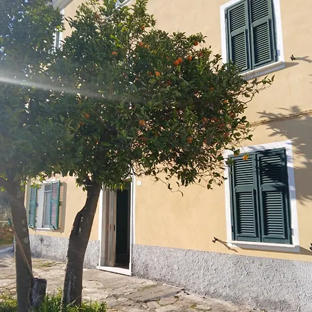 Casa Misha Tra 5 Terre E Versilia *